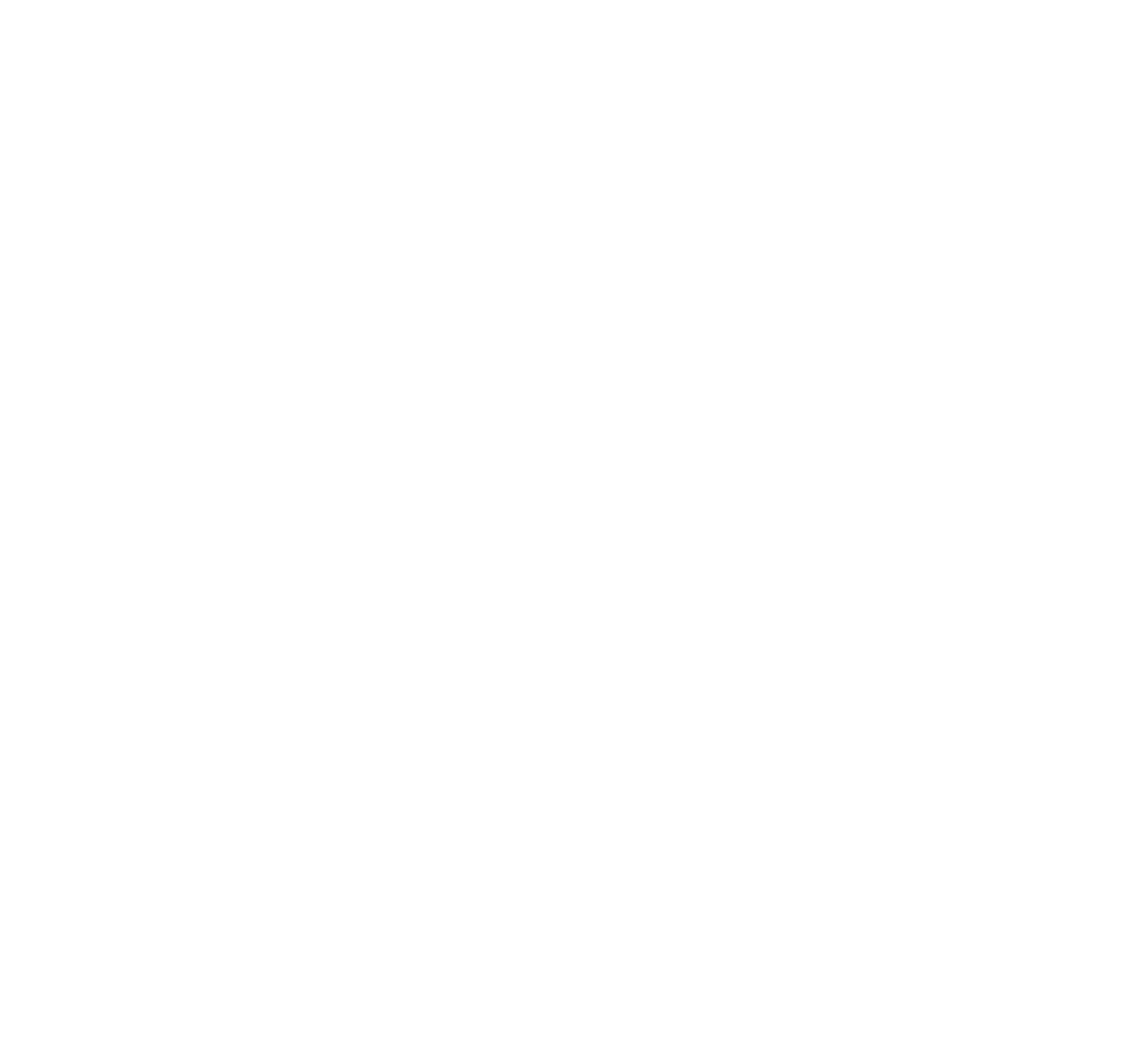 FlyInLife